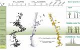 <p>种子植物的辐射可能是触发晚古生代冰期直接原因</p>
