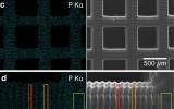 3D 打印 DNA 涂层“化学过滤器”解锁靶向癌症治疗