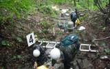 福岛核事故后强降雨加速了林地垃圾中浸出的放射性铯