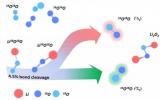 中科院能源所发现高能量锂电池中演化新机制